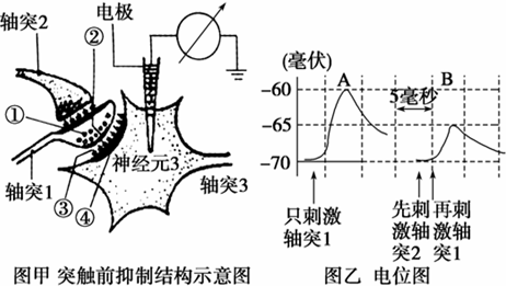 新澳门新葡萄娱乐