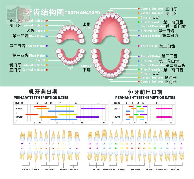 澳门新葡澳京官网